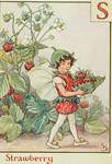 sisforstrawberry